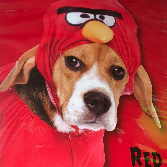 red bird angry birds dog halloween costume small - Picture 3 of 8